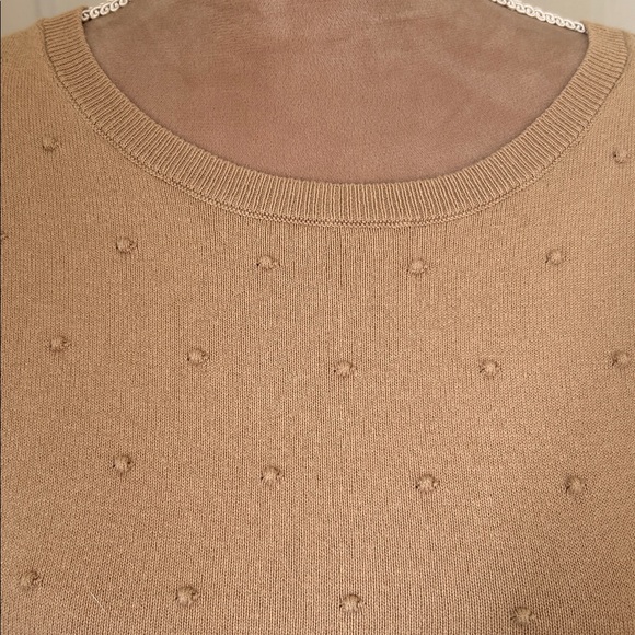 Ann Taylor Beige Short Sleeve Sweater with Textured Dots 79% cotton - Picture 2 of 5